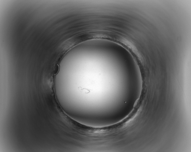 X0000088700841200706071538
