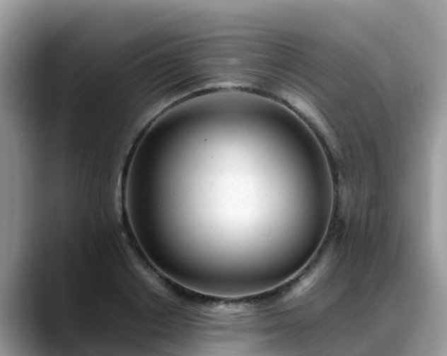 X0000088700842200706071538