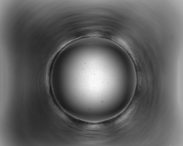 X0000088700843200706071538