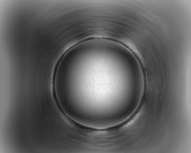 X0000088700845200706071538