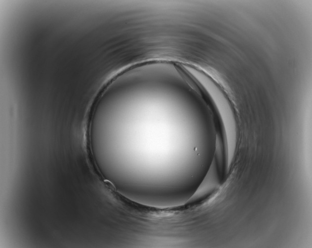 X0000088700846200706071538