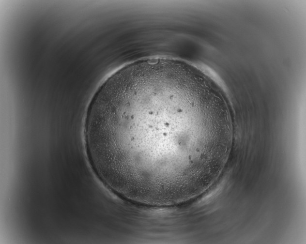 X0000088700847200706071538