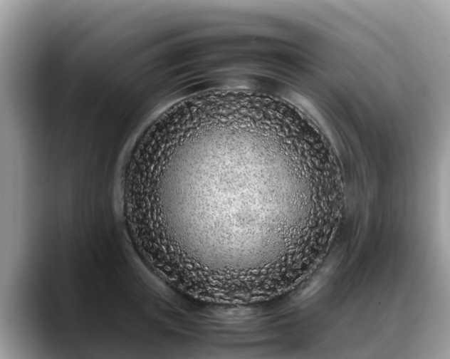 X0000088700851200706071538