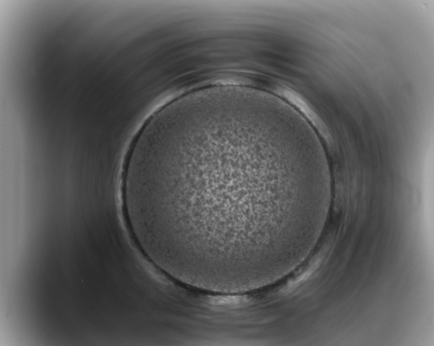 X0000088700853200706071538
