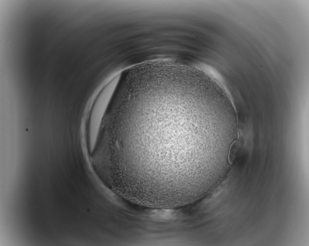 X0000088700859200706071538