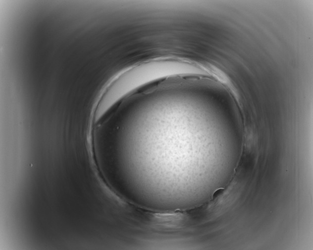 X0000088700863200706071538