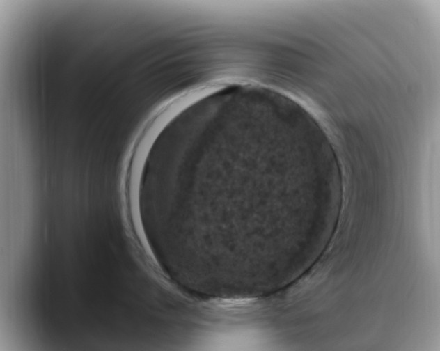 X0000088700864200706071538
