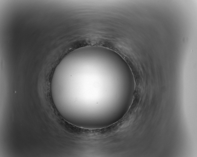 X0000088700865200706071538