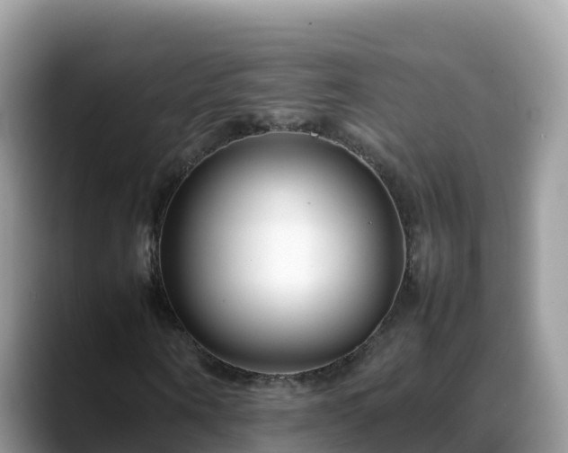 X0000088700866200706071538