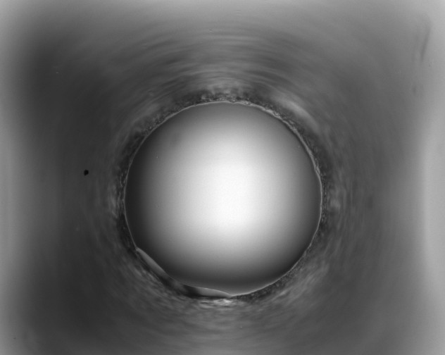 X0000088700869200706071538