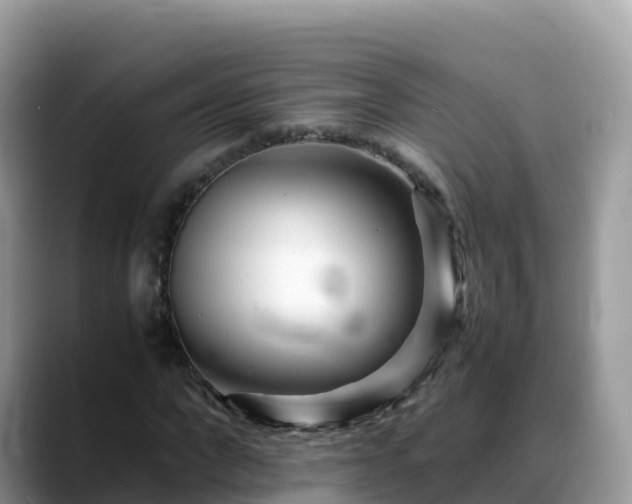 X0000088700872200706071538