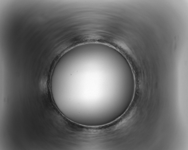 X0000088700873200706071538