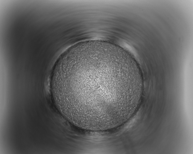 X0000088700875200706071538