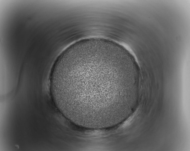 X0000088700879200706071537