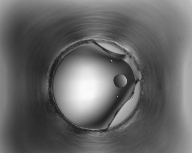X0000088700880200706071537