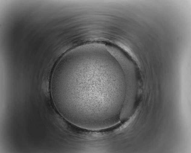 X0000088700881200706071537