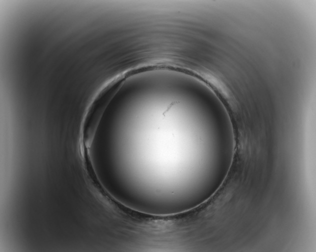 X0000088700888200706071537