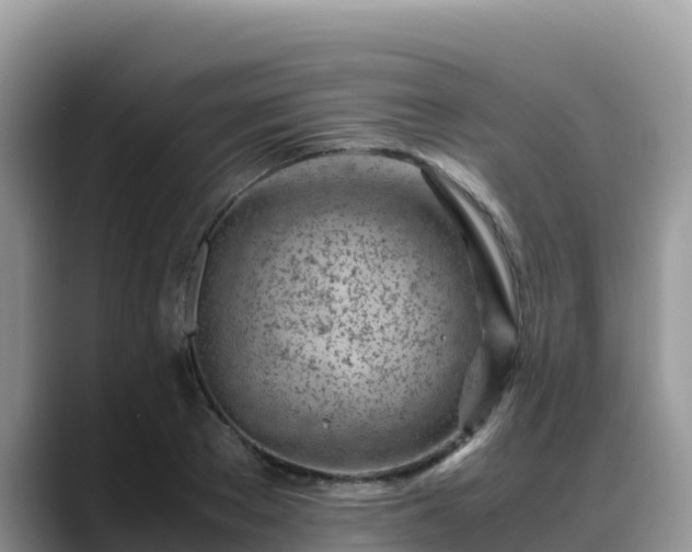 X0000088700889200706071537