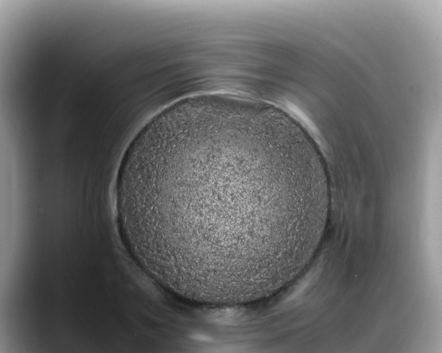 X0000088700891200706071537