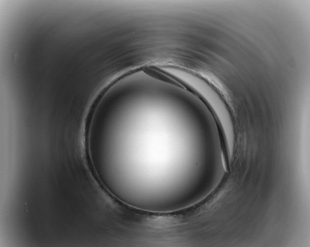 X0000088700894200706071537