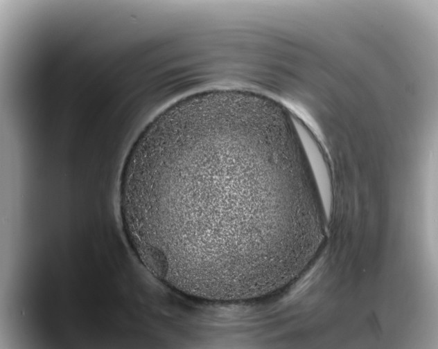 X0000088700895200706071537