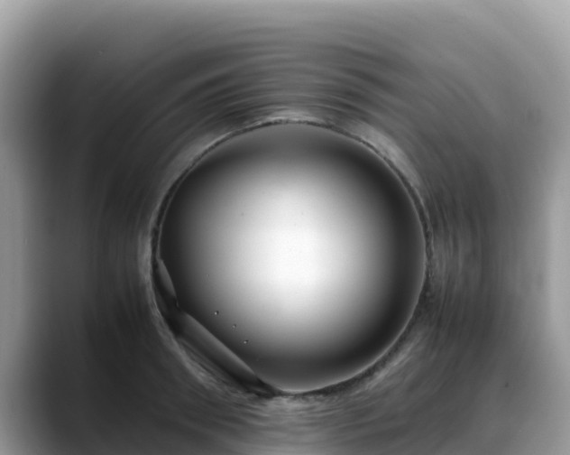 X0000088700898200706071537