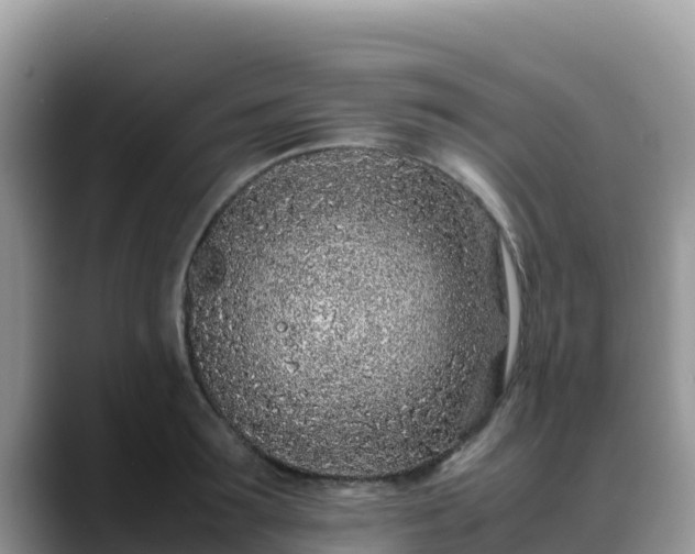 X0000088700899200706071537