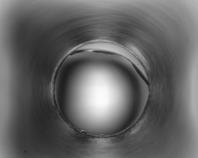 X0000088700900200706071537