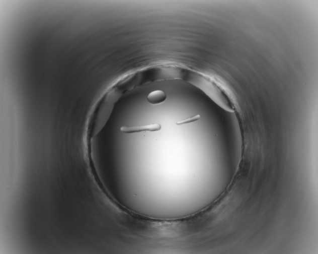X0000088700902200706071537