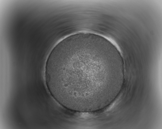 X0000088700903200706071537
