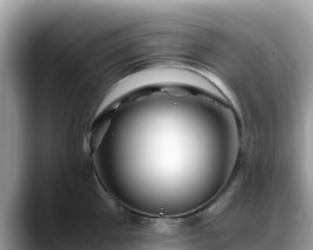 X0000088700905200706071537