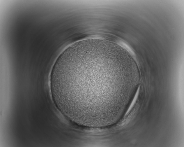 X0000088700907200706071537