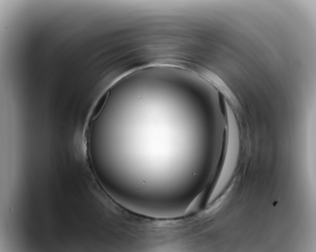X0000088700908200706071537