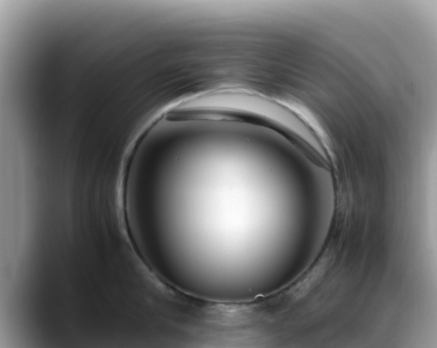 X0000088700910200706071537