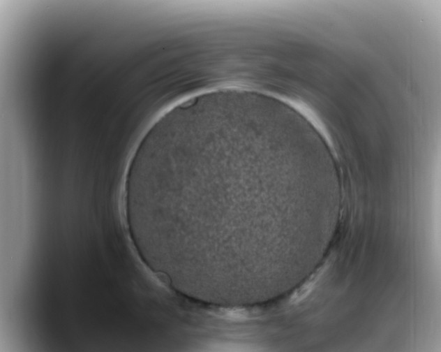 X0000088700911200706071537