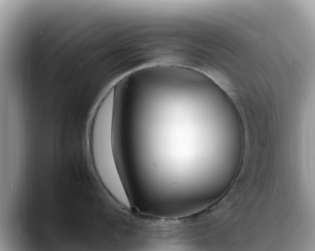 X0000088700912200706071537
