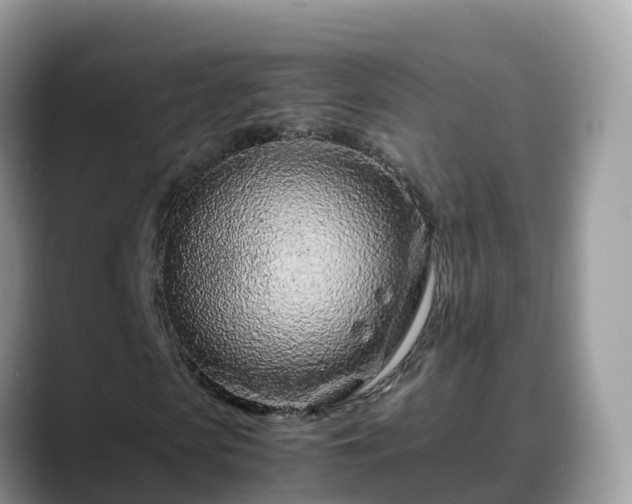 X0000088700913200706071536