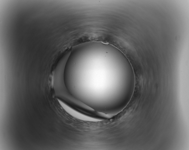 X0000088700914200706071536
