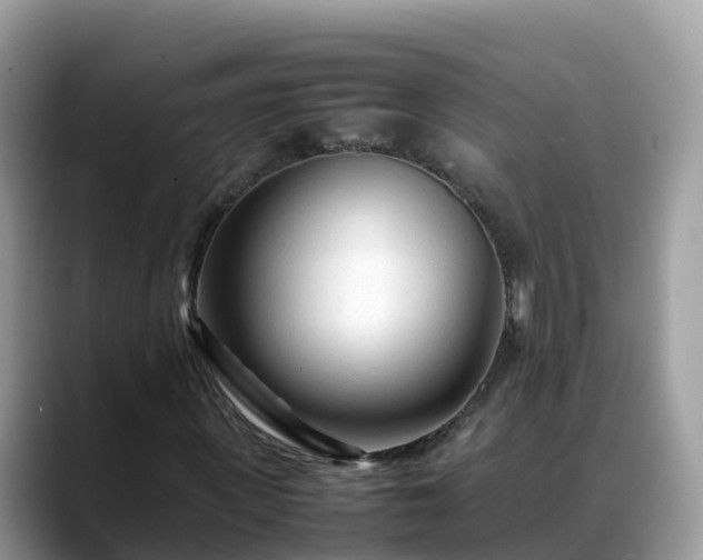 X0000088700915200706071536