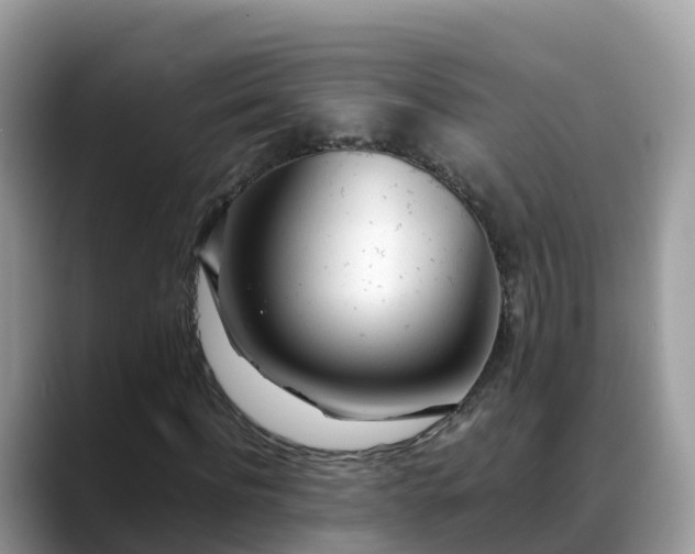 X0000088700916200706071536