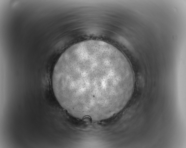 X0000088700918200706071536