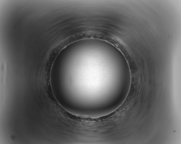 X0000088700919200706071536