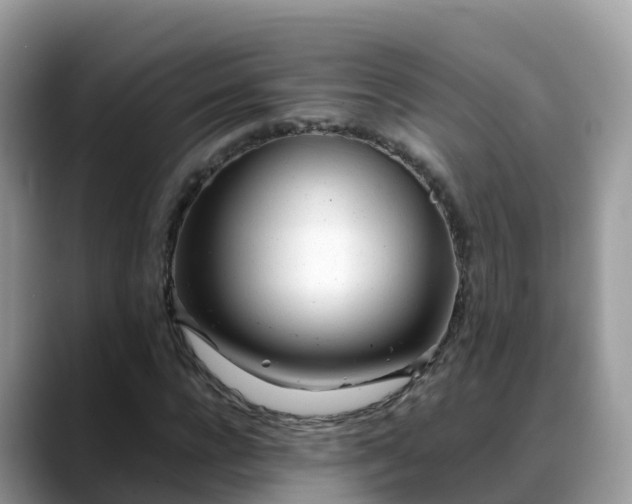X0000088700920200706071536