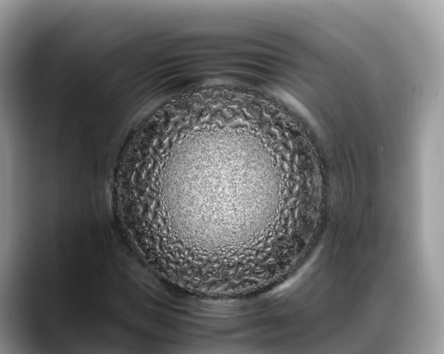X0000088700921200706071537