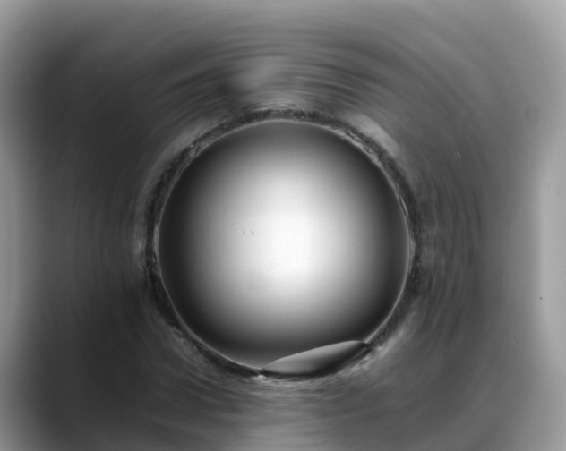 X0000088700922200706071537