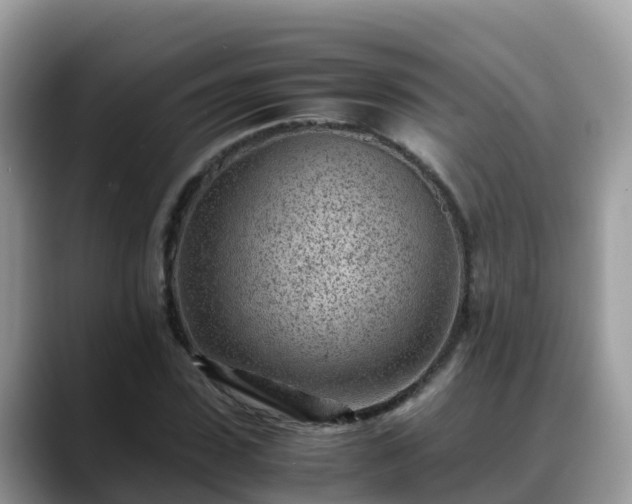 X0000088700923200706071537