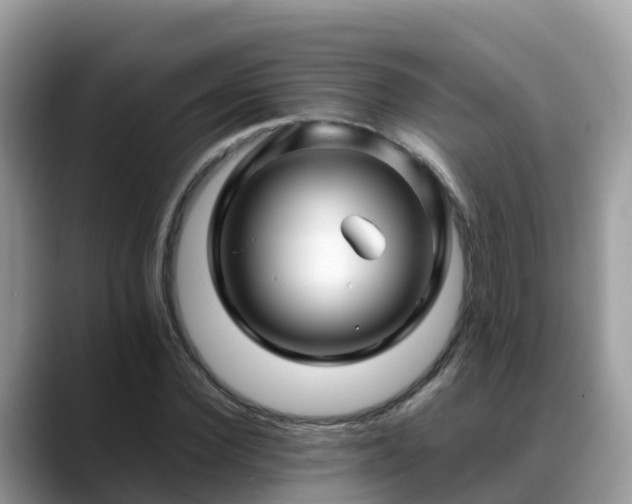 X0000088700924200706071537