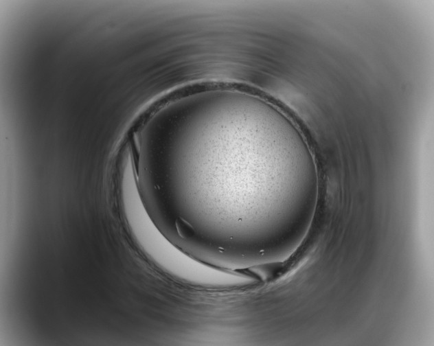 X0000088700926200706071537