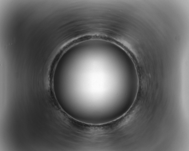 X0000088700927200706071537