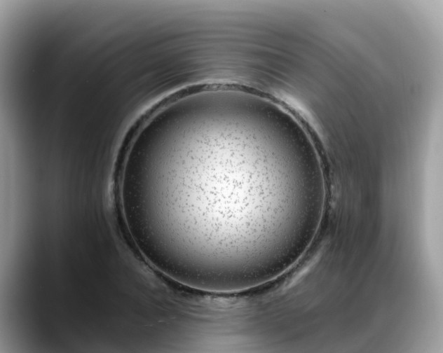 X0000088700928200706071537